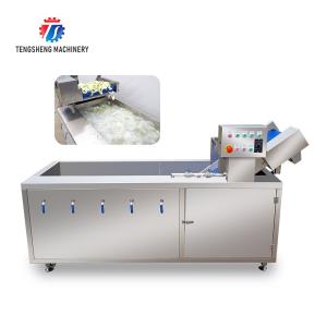 China Tengsheng Vegetable Cleaning Machine , Multi Directional Sundries Filter Spinach Washing Machine factory