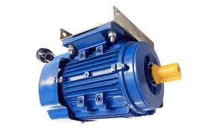 China Figure MY712-2 Single Phase Capacitor Run Motor 0.75HP 230v 50Hz For Crushers factory