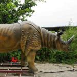 Waterproof Realistic Animatronic Animals Rhinoceros Sondaicus Model