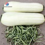 1.0KW 90KG Pineapple pineapple watermelon cantaloupe peeler small single head