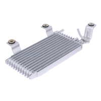Top Rated Oil Cooler Assy for Nissan Teana L33 QR25 2013-2018 21606-3TN0A 21606-3TS0A