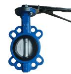 GG25 DIN PN10 PN16 cast iron butterfly valve