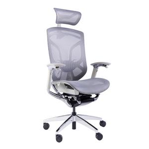 China Grey Frame Ergonomic Office Chair Large Tilting Angle Multi Adjustment factory