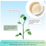 Irrigation Acid Powder Fertilizer Amino Acid 45% Sulfate Chloride Free for