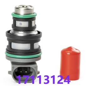 China 17113124 17113197 GMC Chevy Fuel injector 17112693 FJ10045 17109130 factory