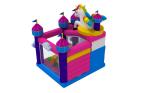 Kids And Adult Carton Inflatable Bounce House Combo Slide With Pool inflatable
