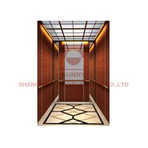 400kg AC FUJI Hydraulic Shaftless Residential Home Elevator Lift