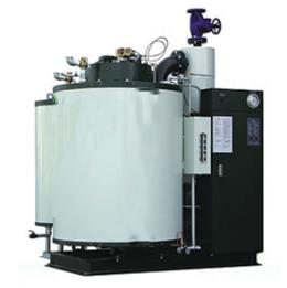 China Laundry Food Industry 300kg Natural Gas Steam Generator factory