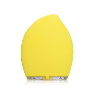 China Rechargeable Silicone Facial Cleansing Brush Portable Electric Massager 125Hz factory