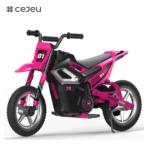 CJ-XH-JC310 Hot Sales Big Size Ride on Car for Adult Children Rechargeable 350w