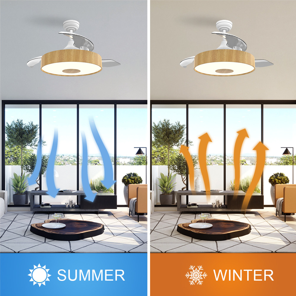 European Style BLDC Ceiling Fan 42 Inch Retractable Ceiling Fan With Light And Remote