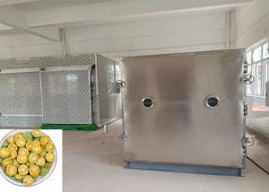 China 100Kg Food Vegetable Freeze Dryer Bitzer Refrigeration Unit Active factory
