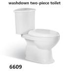 Bathroom Floor Mounted S-trap 250mm/P-trap 180mm Roughing-in Washdown Two-piece