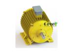 48VAC 3000rpm Synchronous Permanent Magnet Generator