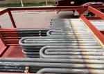 Stainlesss Steel Primary and Secondary Serpentine Tube Coils for Biomass