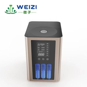 Portable Hydrogen Inhalation Machine with 99.99% Purity and 900ml/min Flow for
