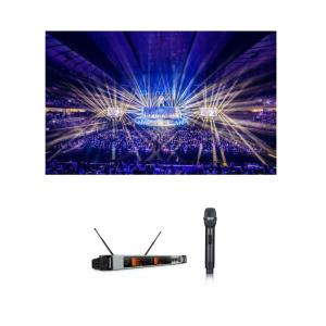 China Clear Voice UHF Wireless Microphone Stable Use Professional Sound factory