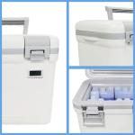 Insulated Medical Cooler Box (FS-6L) Small Ice Box For Medicine