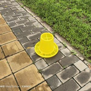 China 2.7L Plastic Diy Chicken Feed Bucket Round Design factory