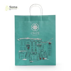China Twisted Handle Food Take Away Bule Printed Kraft Paper Bags factory