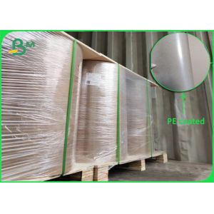 Roll Brown Kraft Paper PE Coated Single Side 80gsm