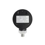 RoHS 9V SS304 Digital Pressure Gauge With Plastics Case