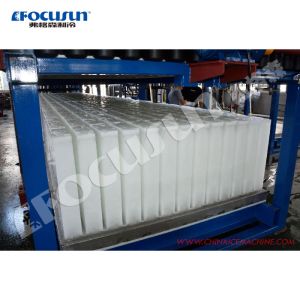 Heavy Duty 30 Ton/Day Direct Cooling Block Ice Making Machine with Bitzer