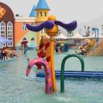 Customized Flower Spray Water Playground Equipment , Amusement Park Equipment