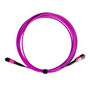China 24 Fiber MPO Patch Cable Multimode High Tensile Strength Violet Cable Color factory