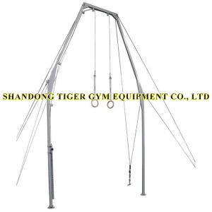 China Gymnastics Equipment Gymnastics Ring for Training factory