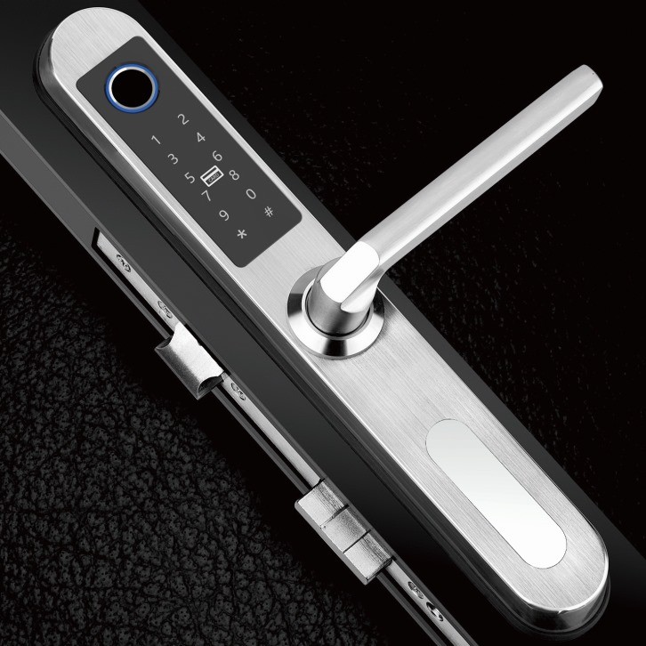 Password RF Card E6900W Aluminum Door Bluetooth Gate Locks