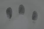 C083 Black magnetic fingerprint powder