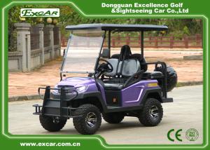 China 4 Wheel Electric Hunting Carts Fuel Type Hunting Buggy Car 275AH Controller factory