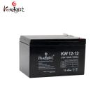 AGM Lead Acid Battery 12v 12ah Deep Cycle Rechargeable Battery