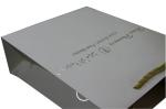 250gsm Art Paper Carrier Bags Single Color Printing Hotstamped And Embossed Logo