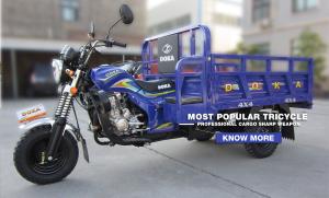 China Gasoline Tuk Tuk Motorcycle With Side Seats , Three Wheeled Chinese Cargo Trike factory