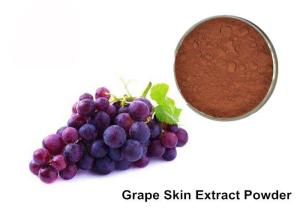 China 25% Anthocyanins Pure Grapeseed / Grape Skin Extract Powder factory