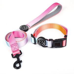China Polyester cute dog leash and collar set Anti Break Metal Buckle Lable With Handle factory