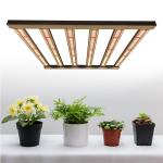 Detachable Knob Dimming 480w Horticulture LED Grow Lights