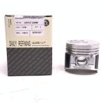 3tnv76 Yanmar Diesel Engine Spare Parts Piston 119717-22080