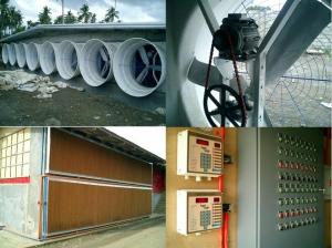 China News - cooling pad,exhaust fan,poultry fan,cone fan - NorthHusbandry Machinery factory