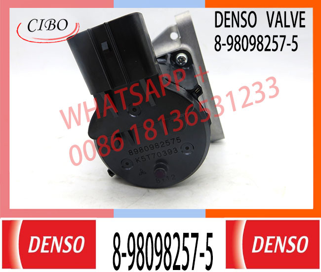 Japan Genuine Neutral 4HK FSR FRR FTR NPR NQR 8-98098257-5 8980982575 1 EGR Valve