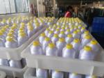 Various Color 75D/2 Embroidery Polyester Thread For Embroidery