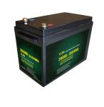 OEM 12v 280Ah Lifepo4 Storage Battery For Caravans Camper Trailers
