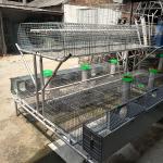 24 Cells Battery Operating Farm Rabbit Cage Two Tiers Easy Cleaning Durable