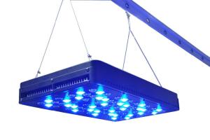 China New design 80*5W Apollo 8 led plant growing light 5watts red blue leds full spectrum indoo factory