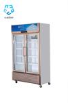 Gold Series Double Door Refrigerator Glass Door