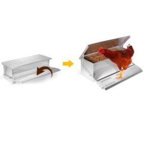 China CE outdoor Metal Iron L53cm Automatic Timer Chicken Feeder factory