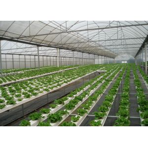 China High Density NFT Hydroponics System Fast Harvest Cycle Automatic Control on sale