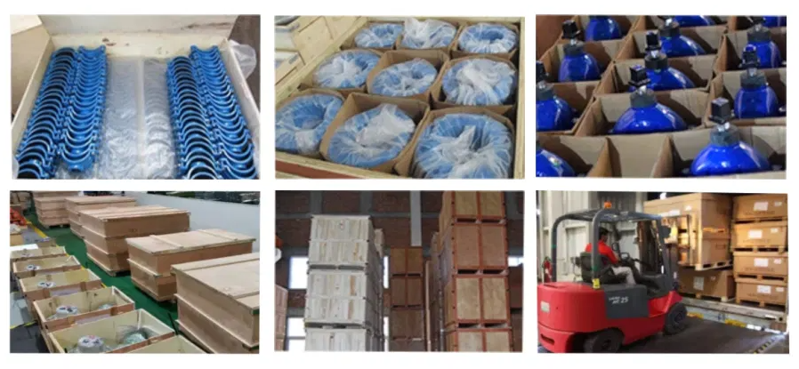 Gas Media Pressure Relief/Sustaining Valve with Customized OEM Support and Efficiency